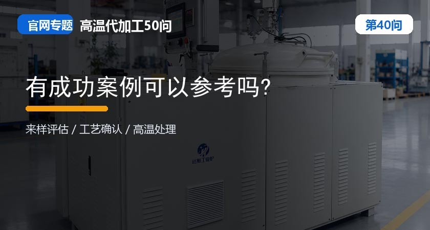 有成功案例可以参考吗? 有成功案例可以参考吗?